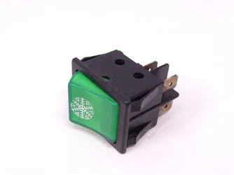 Interruptor Bipolar Verde 250V