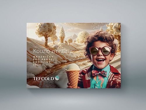 MRAZNIČKY PRO PRODEJ ZMRZLINY