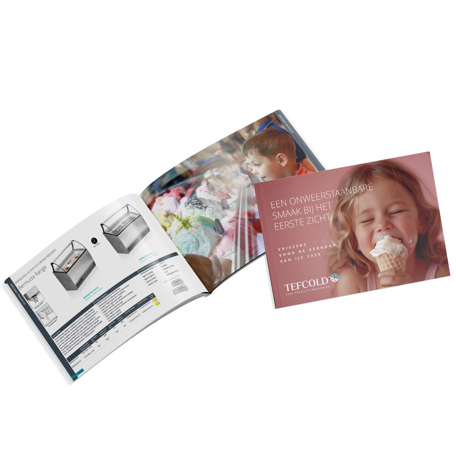 Ice cream catalogus 2025
