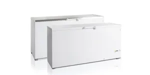 Pultové mrazničky plné víko